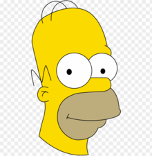 Homer — PO/PM, inventory